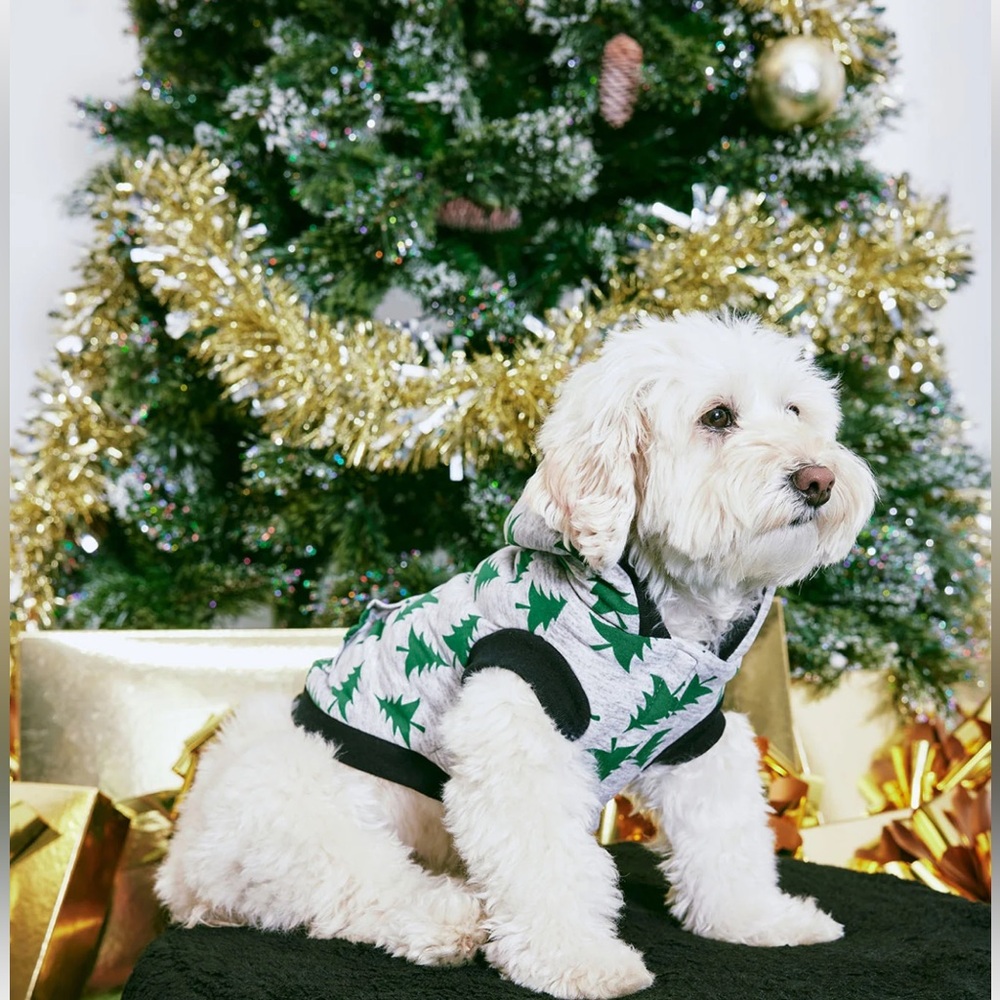 Christmas Pup Under The Tree Dog Hoodie - Green/Combo